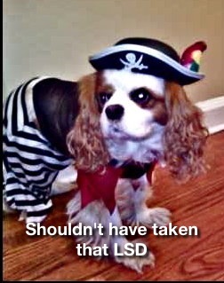 Top 3 Apps This Week - I'd Cap That, Are You Smarter Than A 5th Grader, 100 Floors image 2