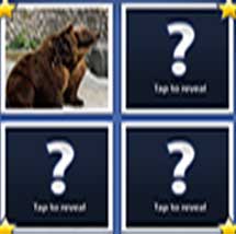 Word Guess with Angry Gran level 16