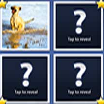 Word Guess with Angry Gran level 5