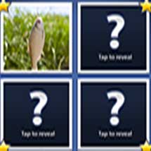 Word Guess with Angry Gran level 10