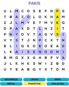 Find-the-Word-cheats-09