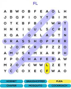 Find-the-Word-cheats-13